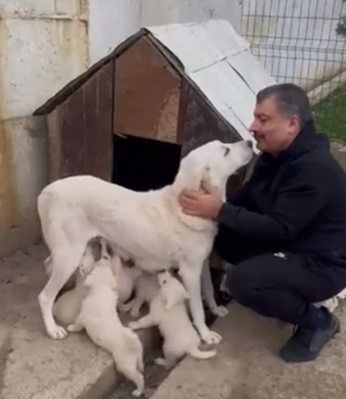 Fahrettin Koca'nın köpeğiyle olan videosu gündem oldu